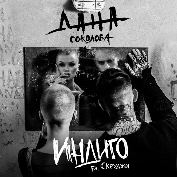 Обложка: Индиго